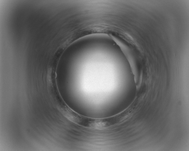 X0000070420217200606161446