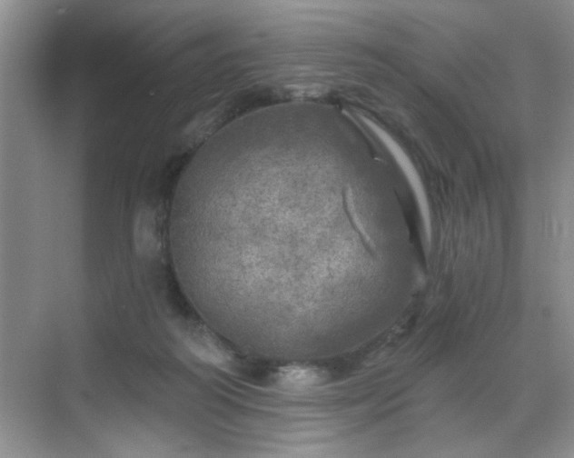 X0000070420218200606161446