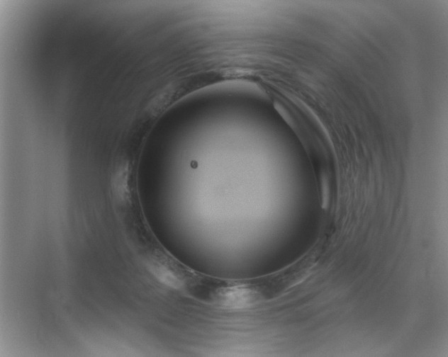 X0000070420219200606161446