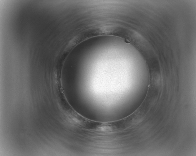 X0000070420220200606161446