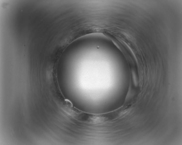 X0000070420221200606161446