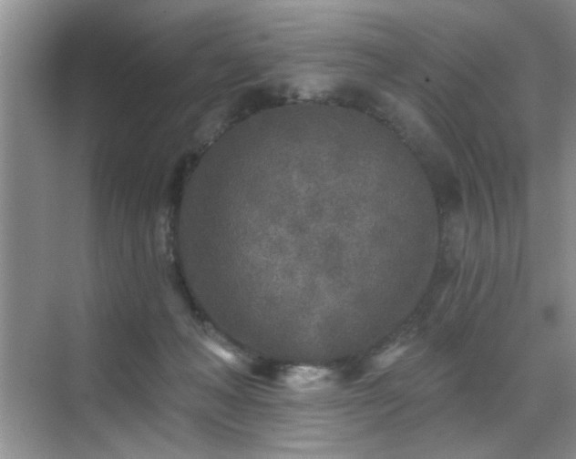 X0000070420222200606161446