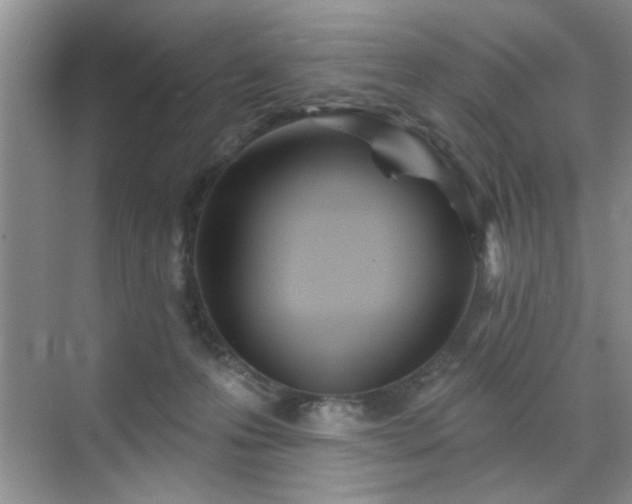 X0000070420223200606161446