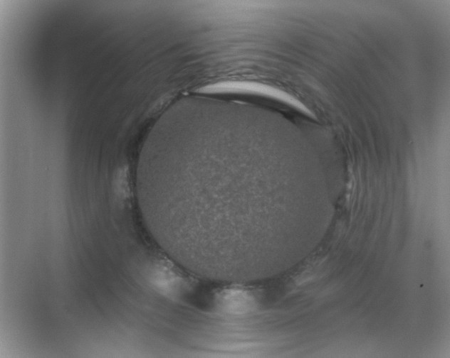 X0000070420224200606161446