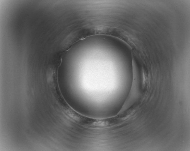 X0000070420225200606161446