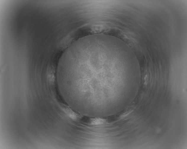 X0000070420226200606161446