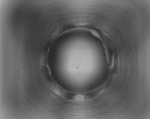 X0000070420227200606161446