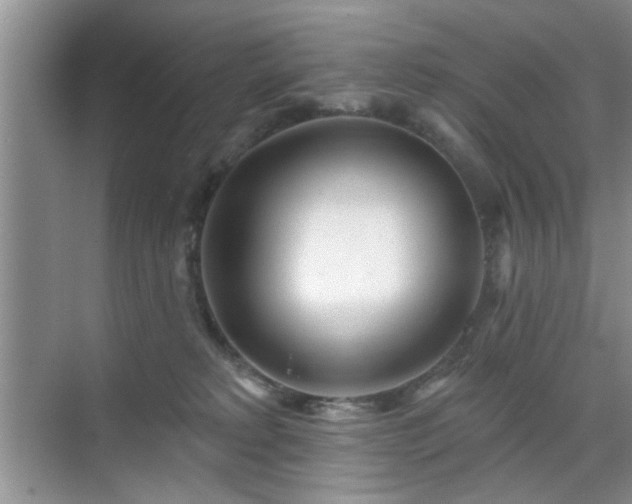 X0000070420229200606161446