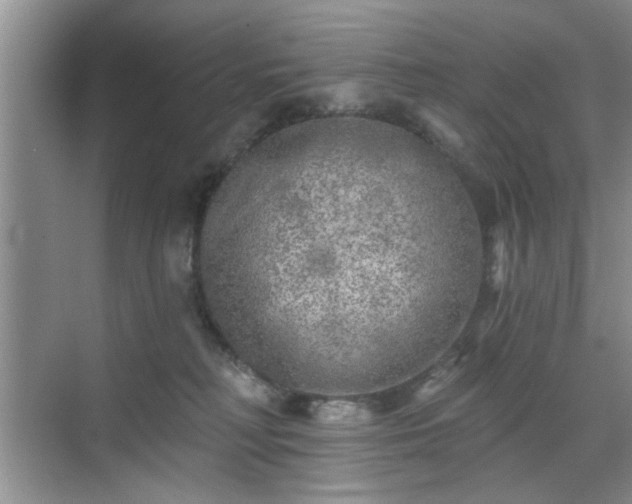 X0000070420230200606161446