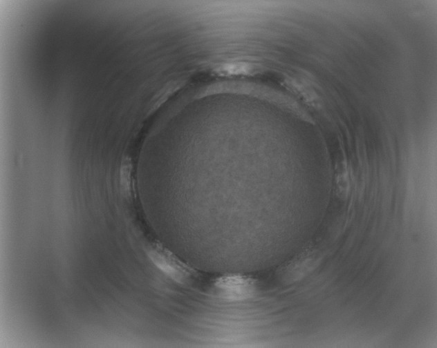 X0000070420231200606161446