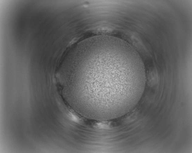 X0000070420232200606161446