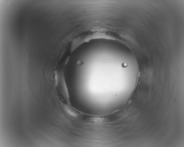 X0000070420233200606161446