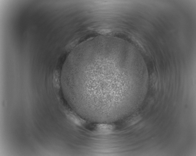 X0000070420234200606161446