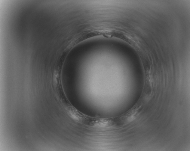 X0000070420235200606161446