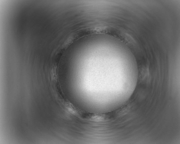 X0000070420236200606161446