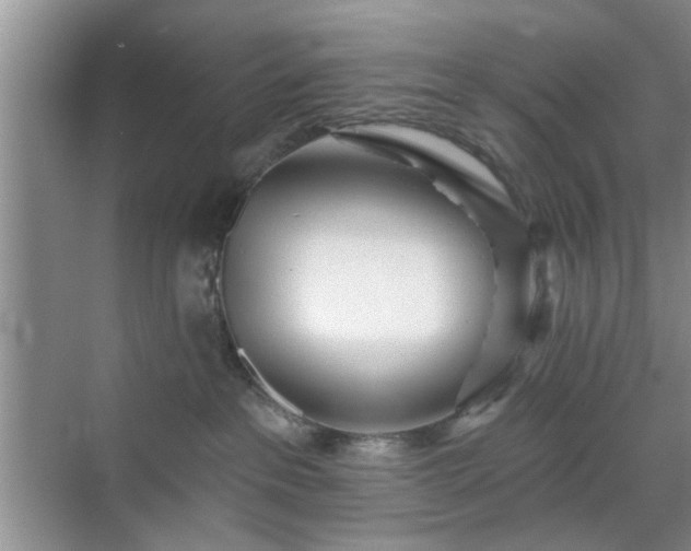 X0000070420237200606161446