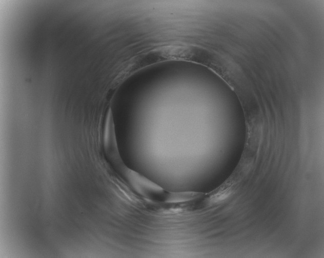 X0000070420239200606161446