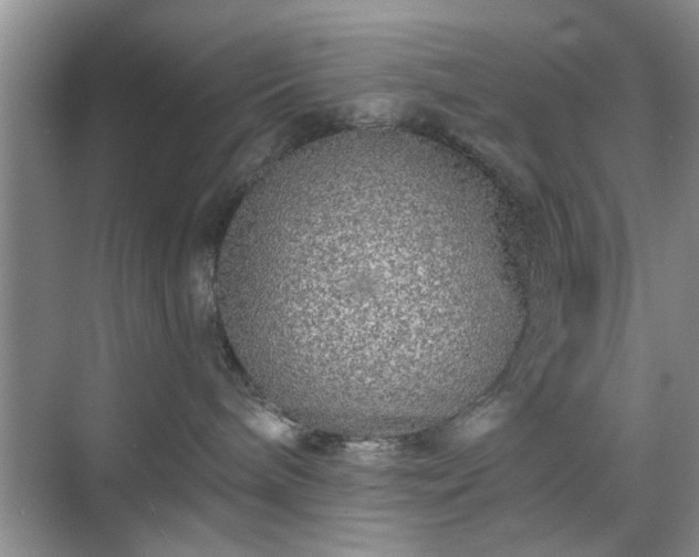 X0000070420240200606161446