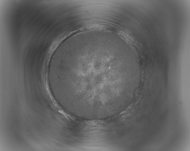 X0000070420241200606161445