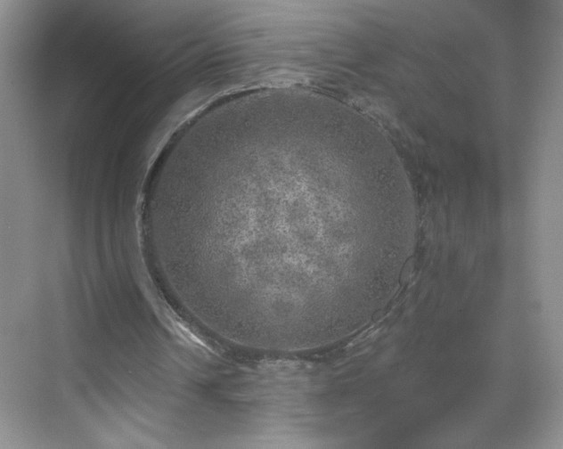 X0000070420242200606161445