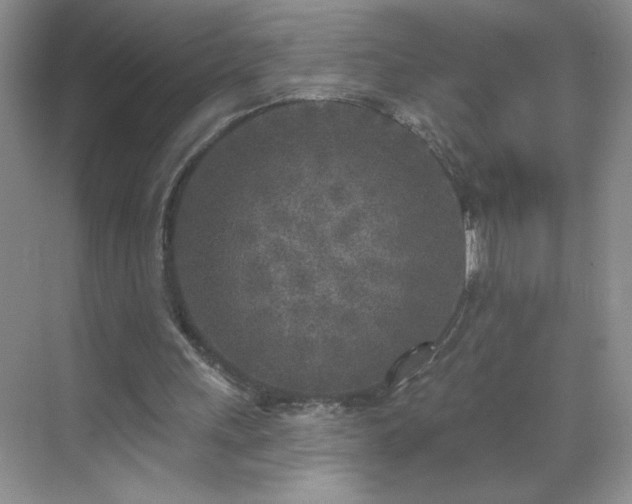 X0000070420243200606161445