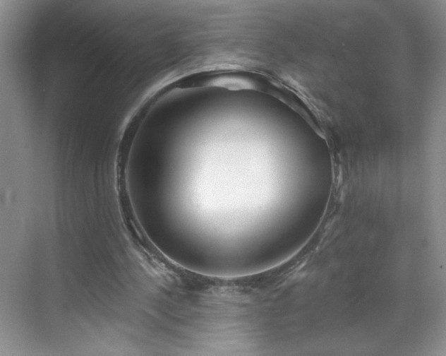 X0000070420244200606161445