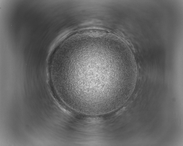 X0000070420245200606161445