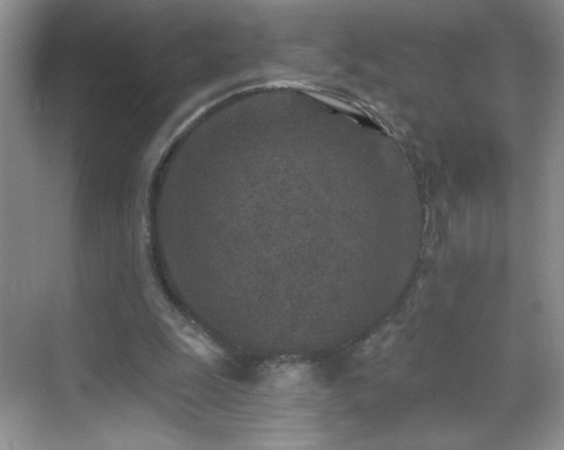 X0000070420247200606161445