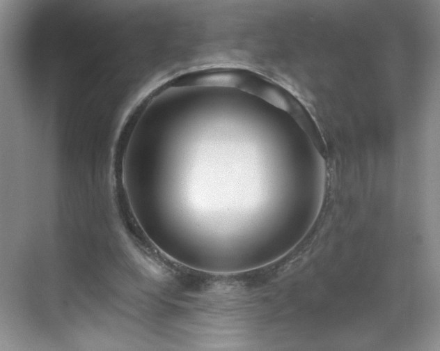 X0000070420248200606161445