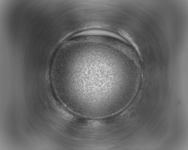 X0000070420249200606161445