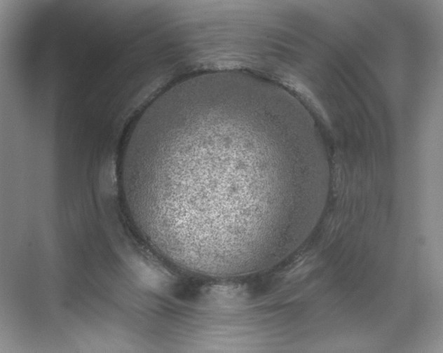 X0000070420251200606161445