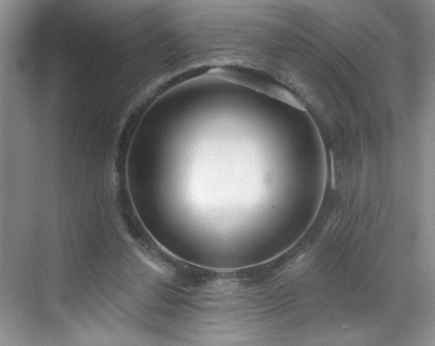 X0000070420252200606161445