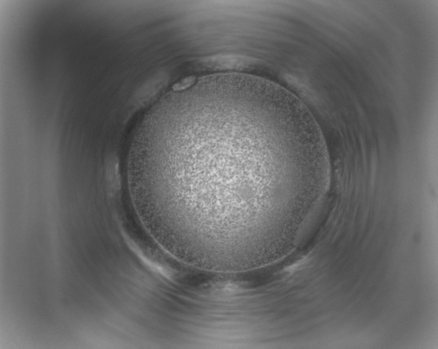 X0000070420254200606161445