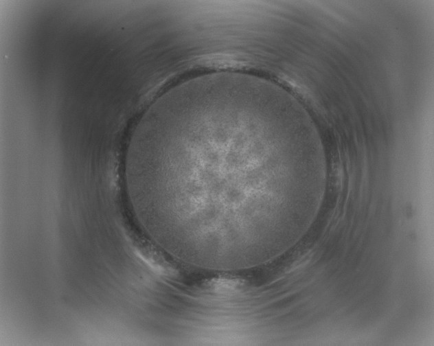 X0000070420255200606161445