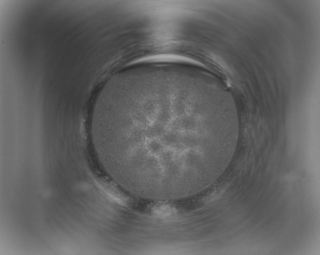 X0000070420258200606161445