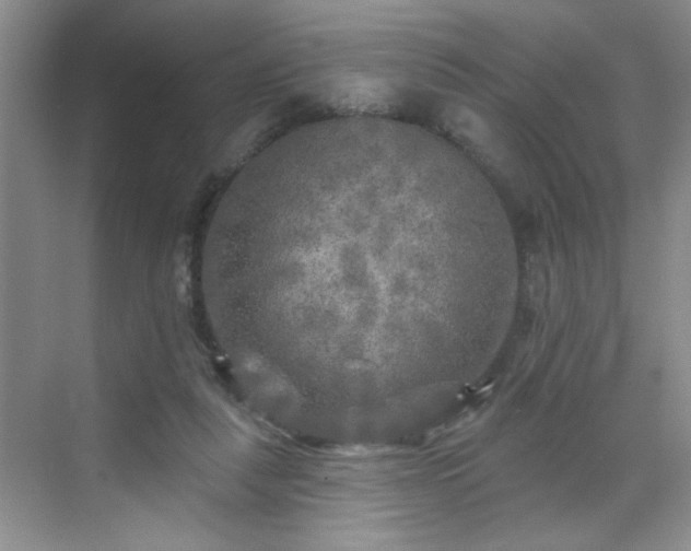 X0000070420259200606161445