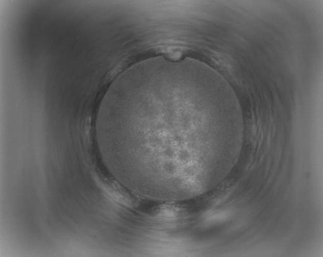 X0000070420263200606161445