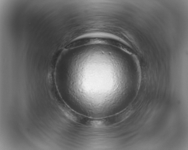 X0000070420265200606161445