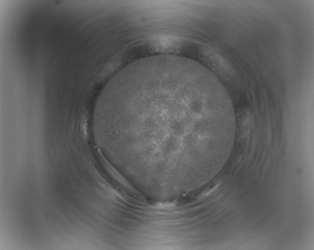 X0000070420266200606161445