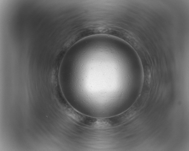 X0000070420270200606161446