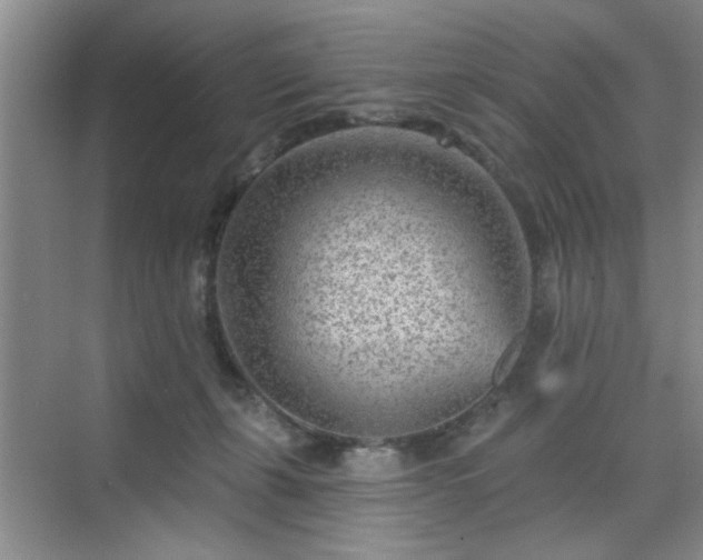 X0000070420271200606161446