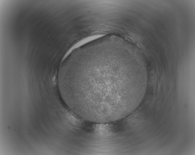 X0000070420273200606161446