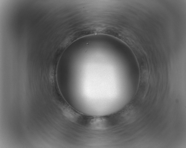 X0000070420274200606161446