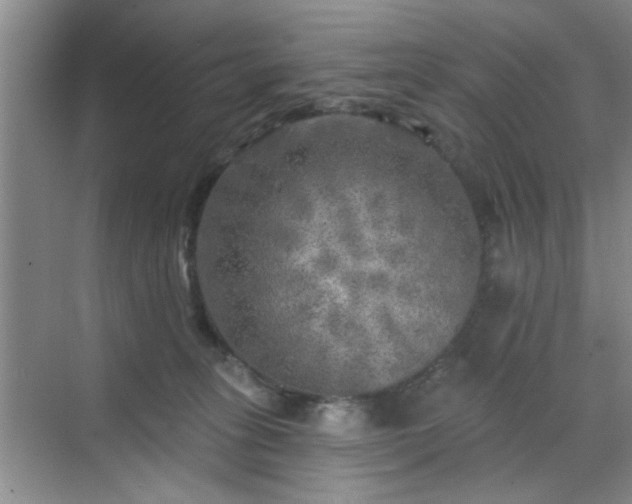 X0000070420275200606161446