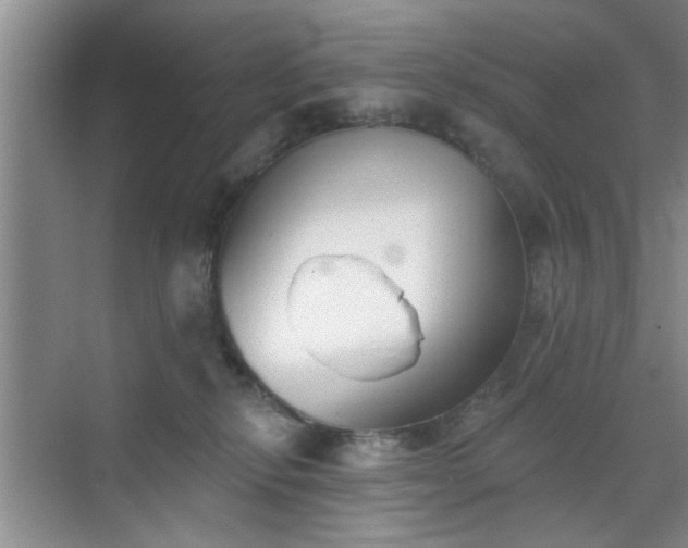 X0000070420278200606161446