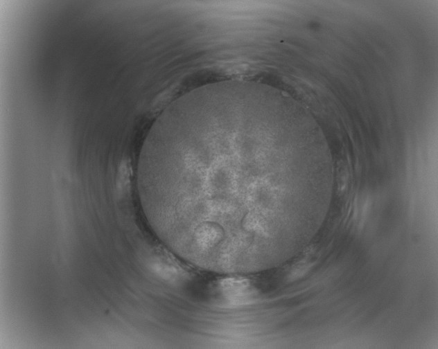 X0000070420279200606161446