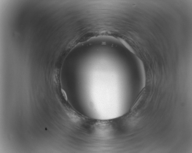 X0000070420280200606161446