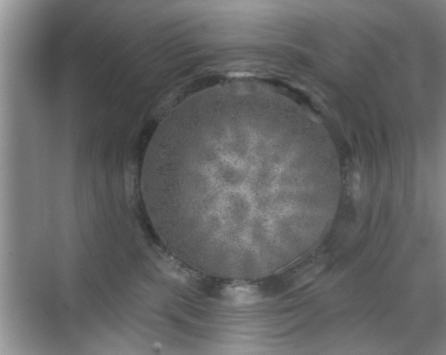 X0000070420283200606161446