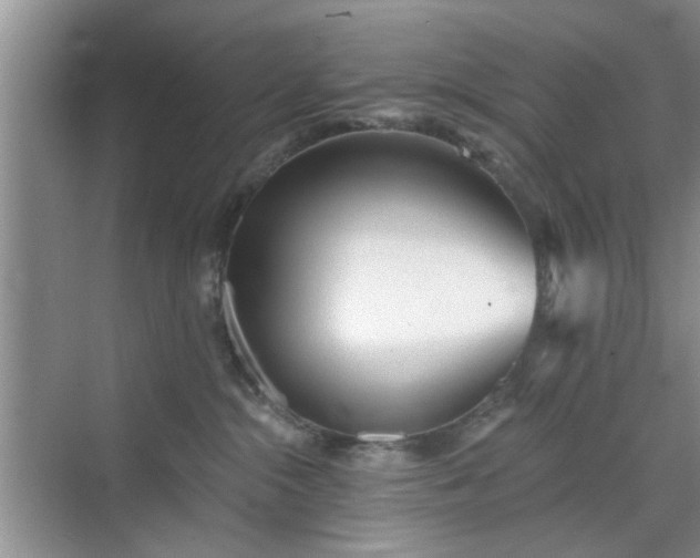 X0000070420284200606161446