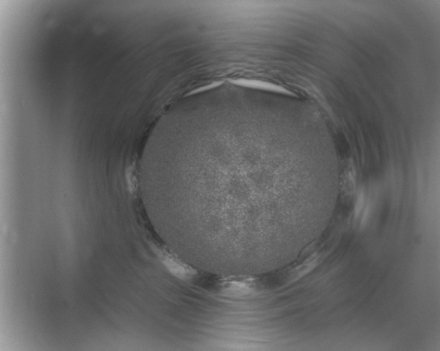 X0000070420285200606161446